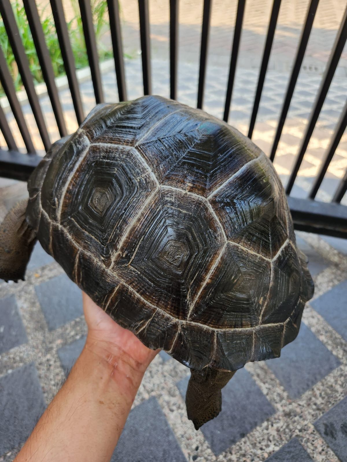 gallery 2